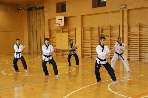 Zanshin Karate-Do; allgemeines Training  Erwachsene 